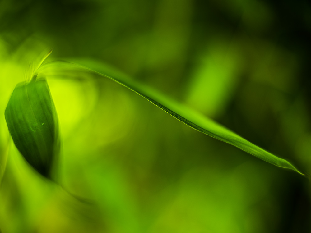 Platz 5 Christoph Frank